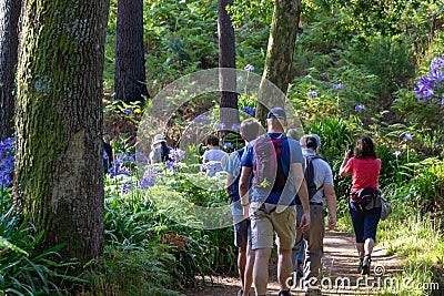 Tourist group hiking along the levadas in Madeira Editorial Stock Photo