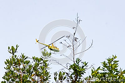 Tourist helicopter flies over the Caribbean Sea in Mexico Stock Photo