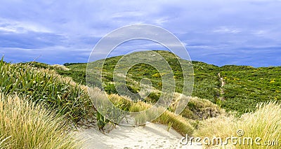 Sandfly Beach near Dunedin, New Zealand Stock Photo