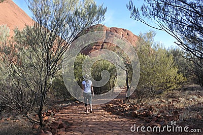 Tourist hiking at Kata Tjuta Olgas in Uluru-Kata Tjuta National Park Landscape view of Uluru-Kata Tjuta National Park Northern Editorial Stock Photo