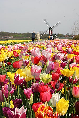 Tourist in Holland Stock Photo