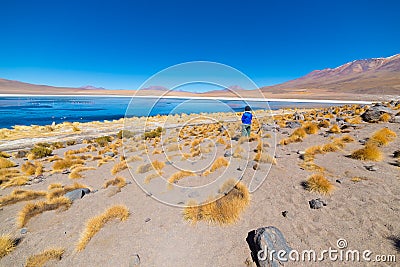 Tourist at `Laguna Honda`, a frozen salt lake with flamingos on the way to the famous Uyuni Salt Flat, travel destination in Boliv Stock Photo