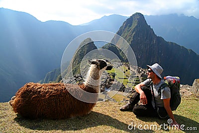 Tourist and llama in Machu Picchu Stock Photo