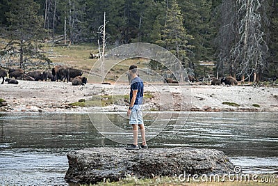Tourist looking at bison while standing at lakeshore in famous Yellowstone park Editorial Stock Photo