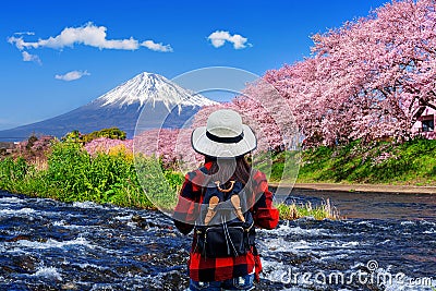 Tourist looking at cherry blossoms and fuji mountains in Shizuoka, Japan Stock Photo