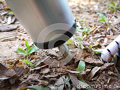 Camping tent in Thailand Nation Park. Stock Photo