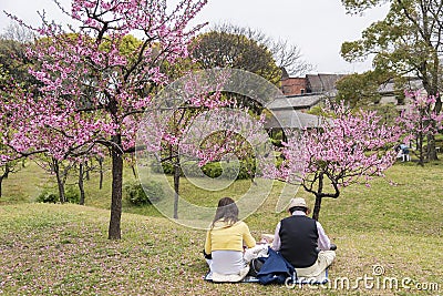 Sakura flower garden in Osaka, Japan Editorial Stock Photo