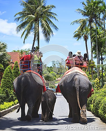 Tourist riding on elephant back Editorial Stock Photo