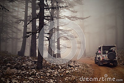 Tourist safari 4x4 vehicles driving through the foggy forest at early misty morning sunrise. Editorial Stock Photo