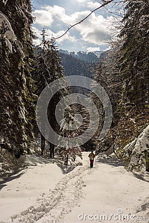 Tourist on a snowy mountain path in Piatra Mare Mountains Editorial Stock Photo