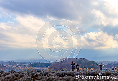 Tourist standing backwards and take a photo Fuji mountainous from lake kawaguchi side in Japan country Editorial Stock Photo