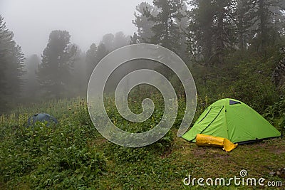 Tourist tents in the fog in forest. Altai Krai. Stock Photo