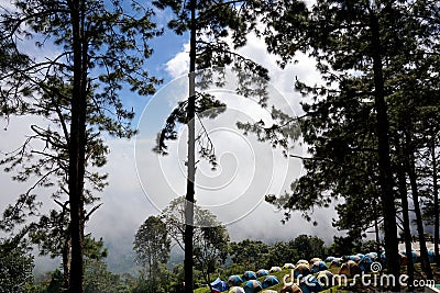 Tourist tents in forest at campsite, Camp site in the forest at Doi Ang Khang-Thailand Stock Photo