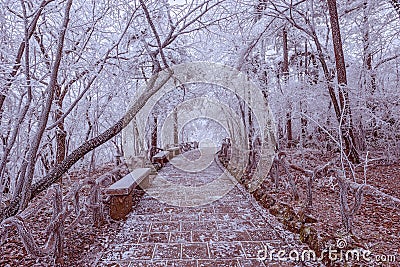 Tourist trail in Huangshan National park. Stock Photo