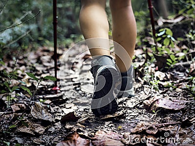 A tourist trekking in a forest Stock Photo