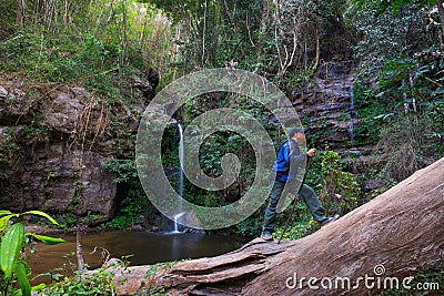 Tourist trekking in rain forest Stock Photo