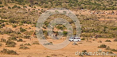 Tourist van at Masai Mara Stock Photo