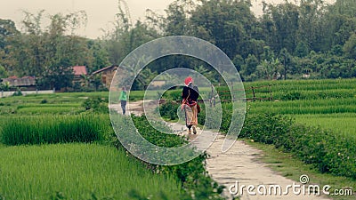 Tourist and guide on rice fields in Sa Pa valley Editorial Stock Photo