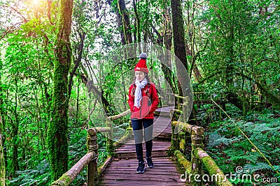 Tourist walking in Ang ka nature trail at Doi Inthanon national park , Chiang mai , Thailand. Stock Photo