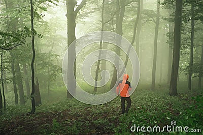 Tourist walking in green foggy forest Stock Photo