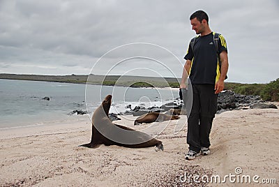 Tourist walking by a seal Editorial Stock Photo