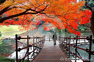 A tourist walking on a wooden path under fiery maple trees by a lake in Koishikawa Korakuen Park, a Japanese garden Editorial Stock Photo