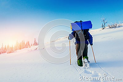 Tourist in winter mountains. Carpathians. Ukraine. Europe Stock Photo