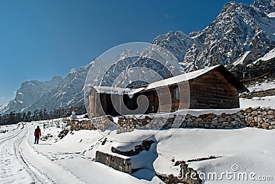 Tourist at Yumthang Valley Editorial Stock Photo