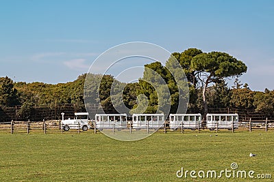 Touristic road-train driving through a safari park Editorial Stock Photo