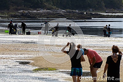 Tourists on a beach watching a group of shellfish gatherers prepare on the seashore to start shellfishing, with their buckets. Editorial Stock Photo