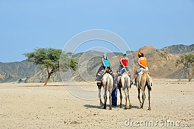 Tourists on camel Stock Photo