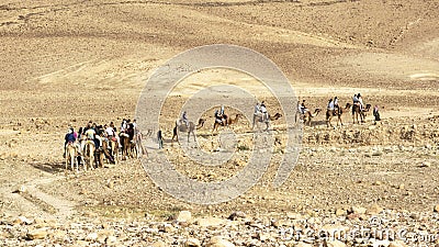 Tourists on a Camel Ride Tour of the Judaean Desert Stock Photo