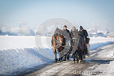 Tourists in carriage, Hohenschwangau, Germany Editorial Stock Photo