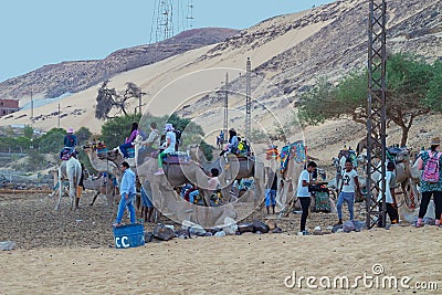 Tourists and dromedaries on the shore of the Nile near Jazirat Salujah Editorial Stock Photo