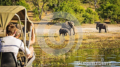 Tourists On Elephant Safari Africa Stock Photo