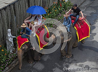 Tourists enjoy elephant ride around the park Editorial Stock Photo