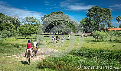 Tourists enjoy ride horses in Pantanal wetland Editorial Stock Photo