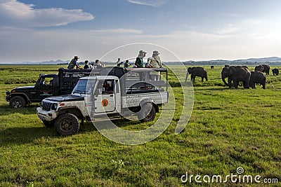 Tourists enjoy watching a herd of elephants in Sri Lanka. Editorial Stock Photo