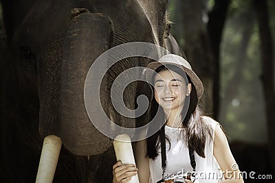 Tourists are enjoying with the wild elephants in the forrest. Tourism asian women holding camera in elephant village Stock Photo