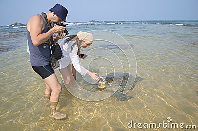 Tourists feed a giant sea turtle on the sandy shallows. Hikkaduwa, Sri Lanka Editorial Stock Photo