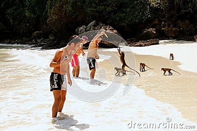 Tourists feeding crab-eating macaques at the beach on Phi Phi Do Editorial Stock Photo