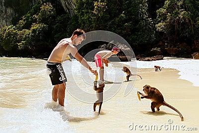 Tourists feeding crab-eating macaques at the beach on Phi Phi Do Editorial Stock Photo