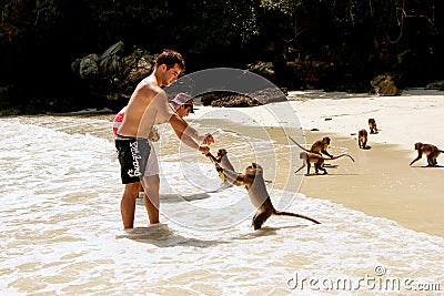 Tourists feeding crab-eating macaques at the beach on Phi Phi Do Editorial Stock Photo