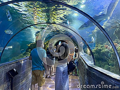 Tourists in a glass tunnel under the aquarium Editorial Stock Photo