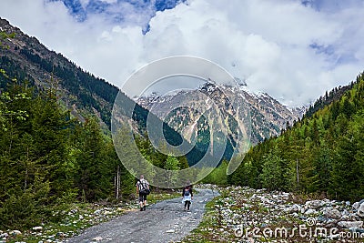 Tourists go on a forest mountain road Editorial Stock Photo