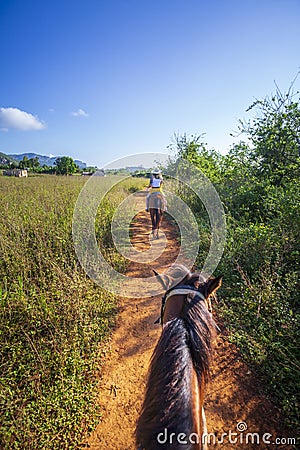 Tourists on a horse tour in Vinales National Park, UNESCO, Pinar del Rio Province, Cuba. Editorial Stock Photo