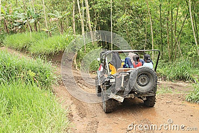 Tourists in jeep in jungle Editorial Stock Photo