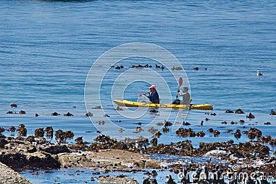 Tourists kayaking at Boulder Beach Editorial Stock Photo