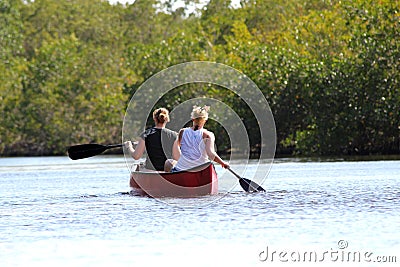 Panoramic Tourists kayaking in mangrove forest in Everglades National park - Floridaa of lake in Everglades National park Stock Photo
