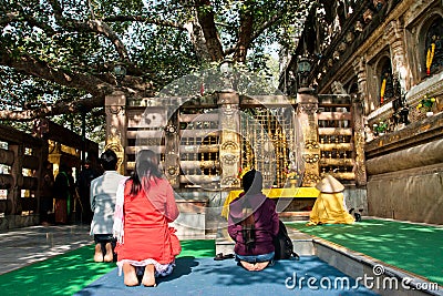 Tourists and monks meditating around the holy Bodhy tree Editorial Stock Photo